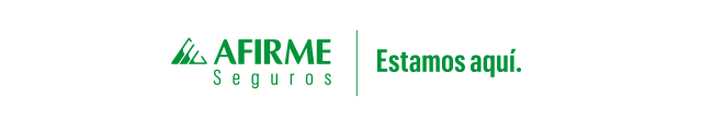 AFIRME SEGUROS